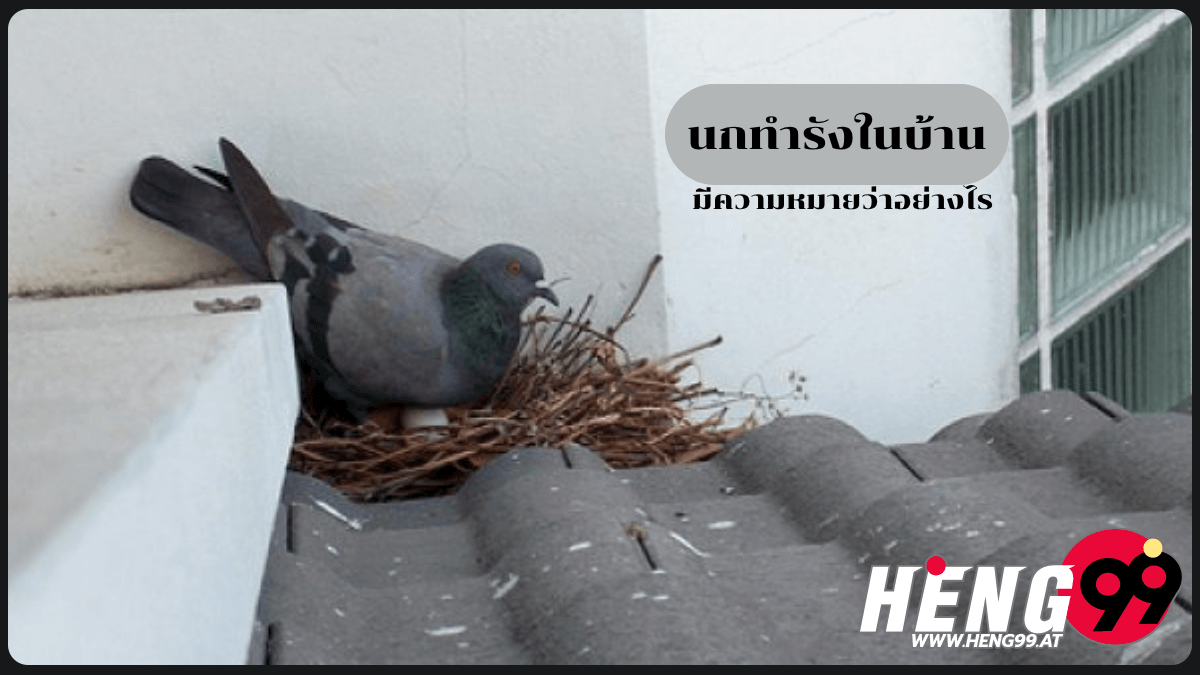 นกทำรังในบ้าน