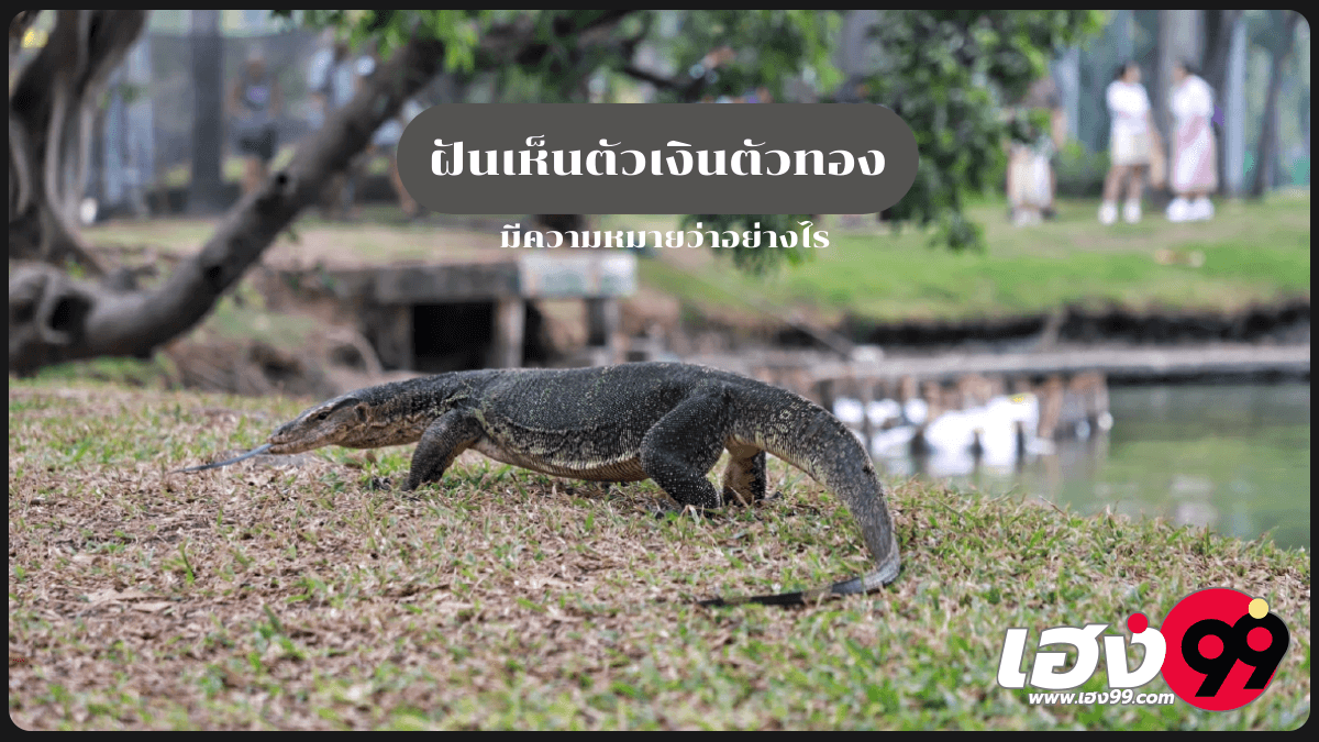 ฝันเห็นตัวเงินตัวทอง