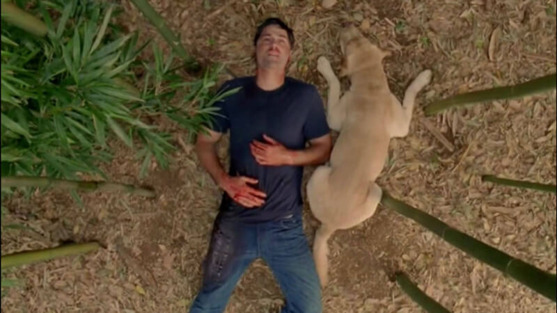 ติดเกาะคนเดียว 