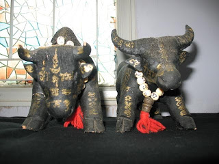 ควายธนูวิชาไสยศาสตร์