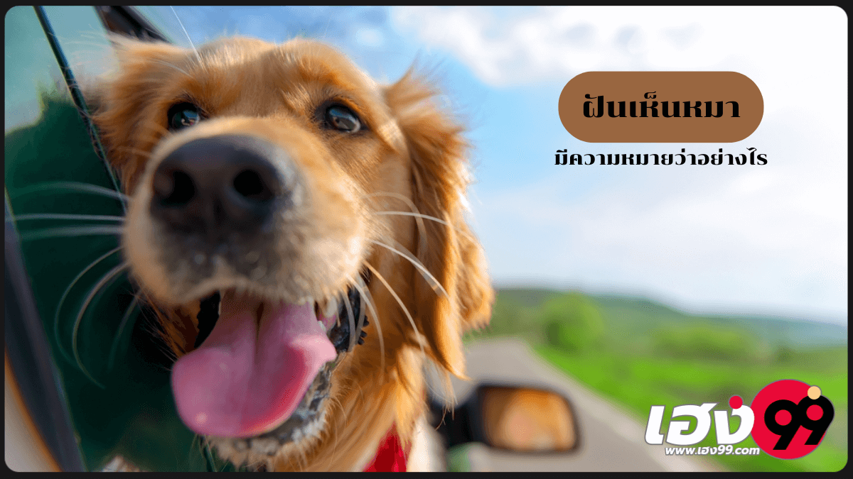 ฝันเห็นหมา