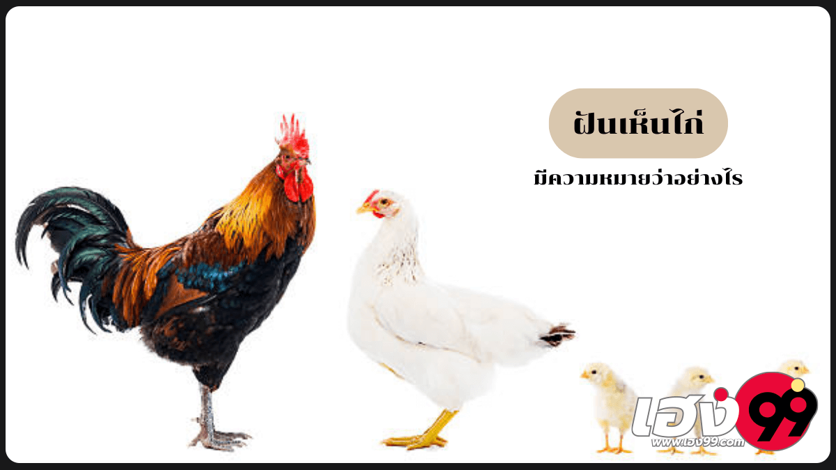 ฝันเห็นไก่