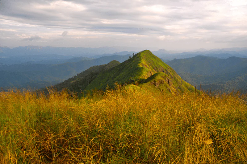 เนินเขา