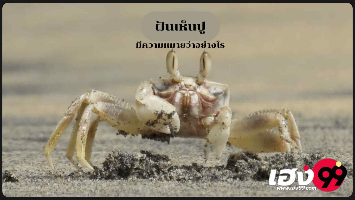 ฝันเห็นปู