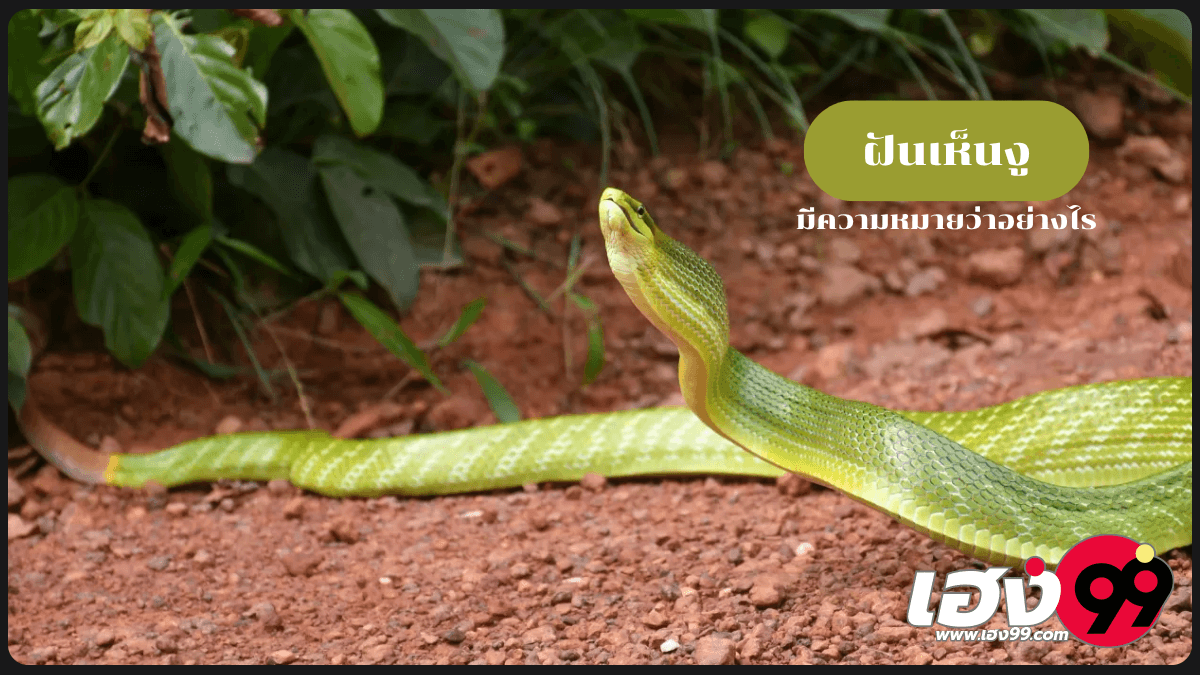 ฝันเห็นงู