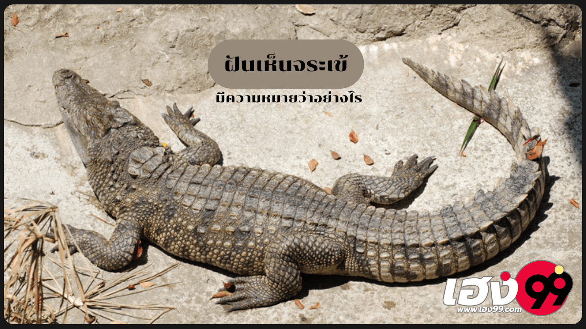 ฝันเห็นจระเข้