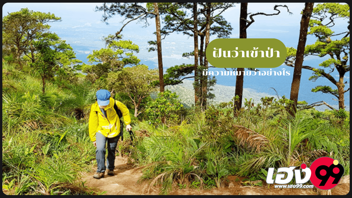 ฝันว่าเข้าป่า